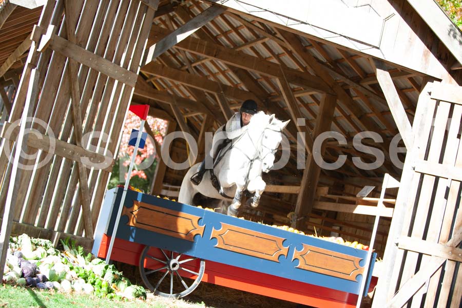 Class crosscountry — IMG_2781