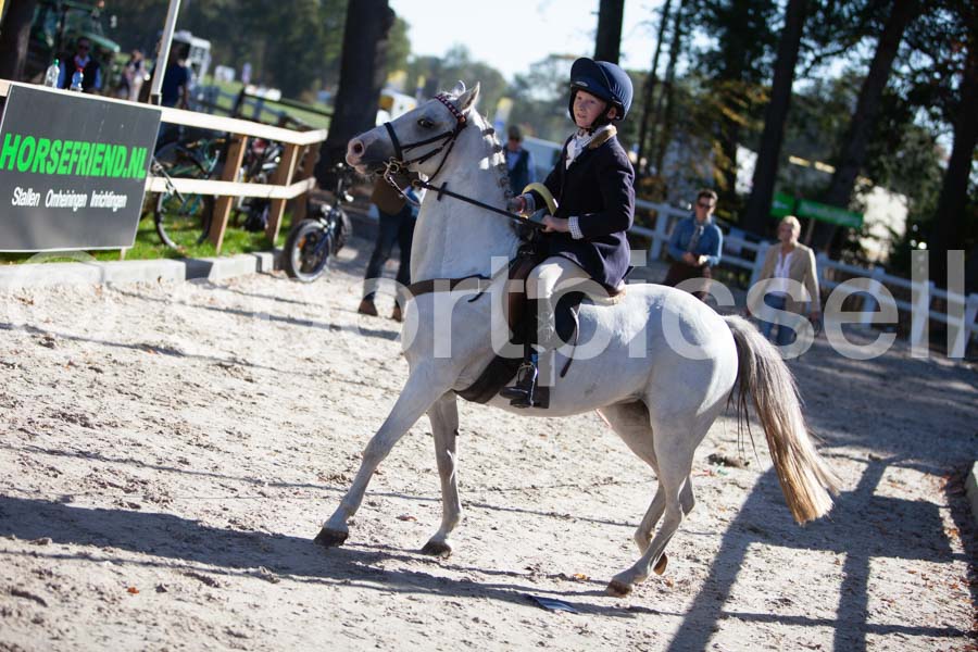 Prüfung show — IMG_3254