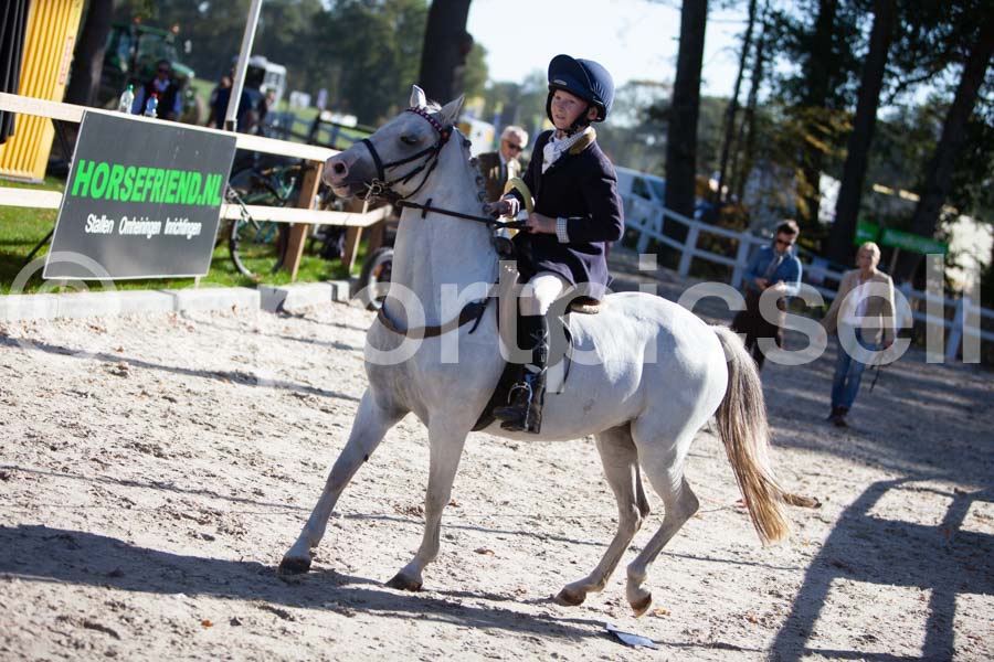 Prüfung show — IMG_3255