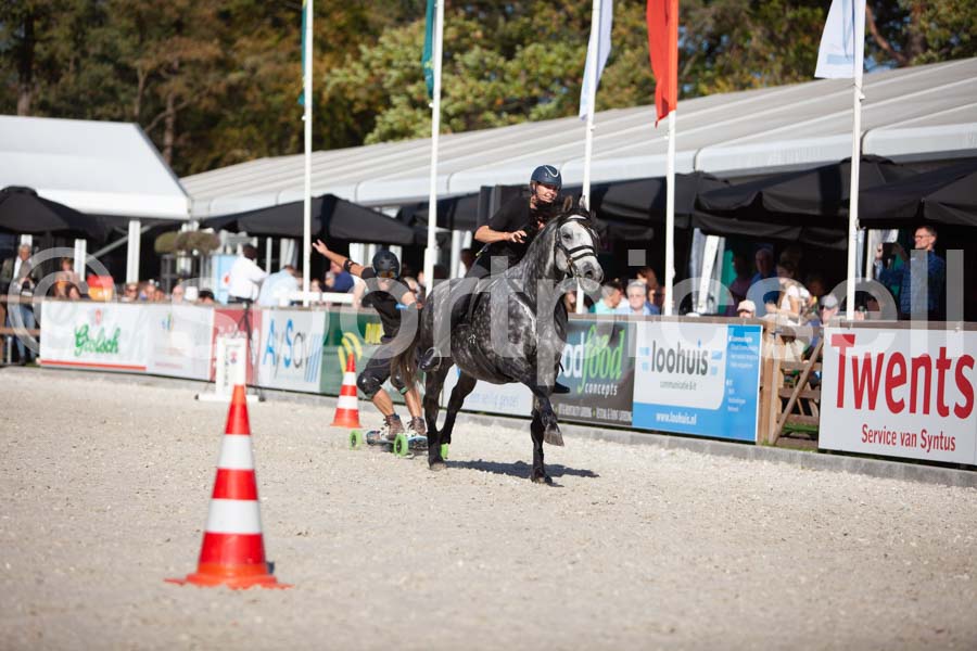 Prüfung show — IMG_3668