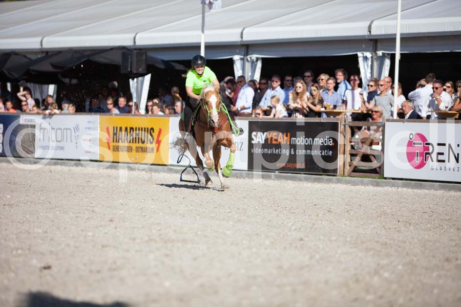 Prüfung show — IMG_3754
