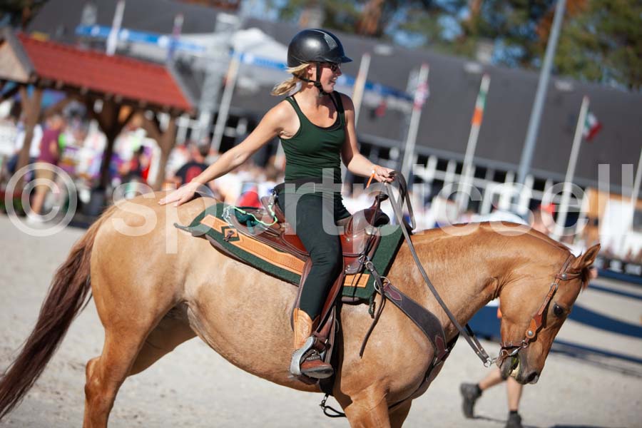Prüfung show — IMG_3829