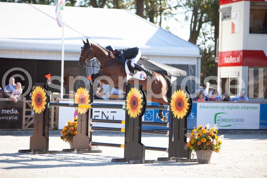 Prüfung showjumping-1 — IMG_2919