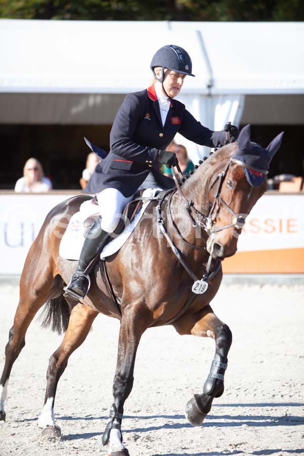 Prüfung showjumping-1 — IMG_2923