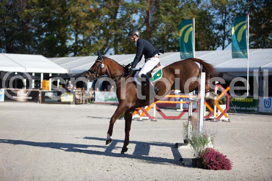 Prüfung showjumping-1 — IMG_2944
