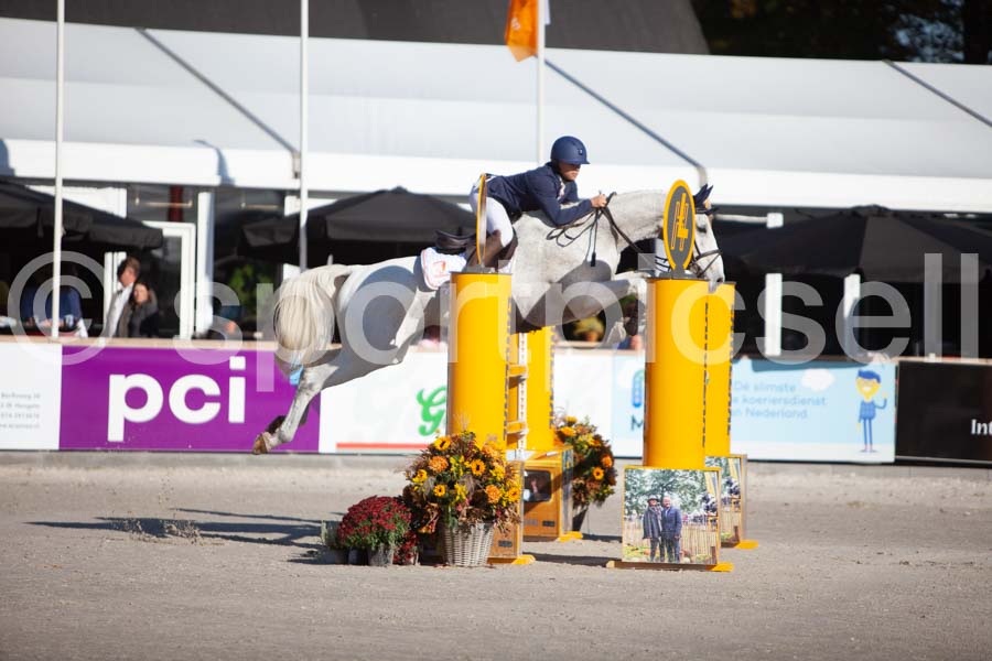 Prüfung showjumping-1 — IMG_2958