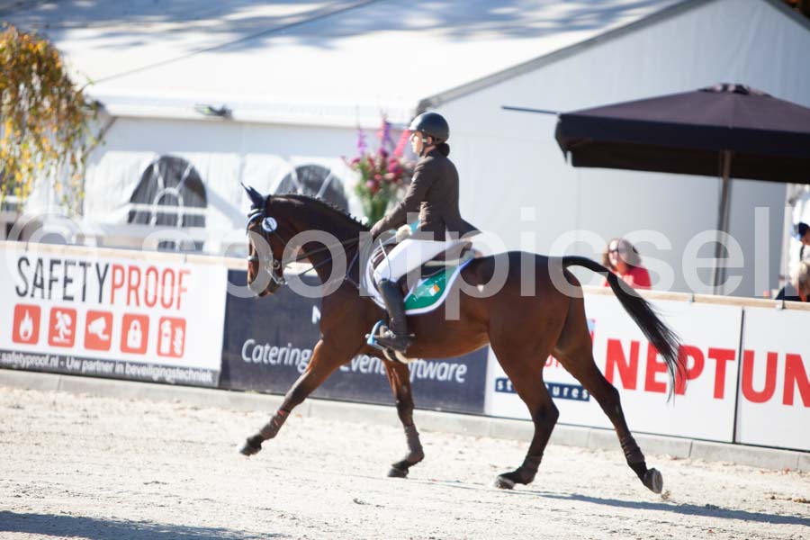 Prüfung showjumping-1 — IMG_2961