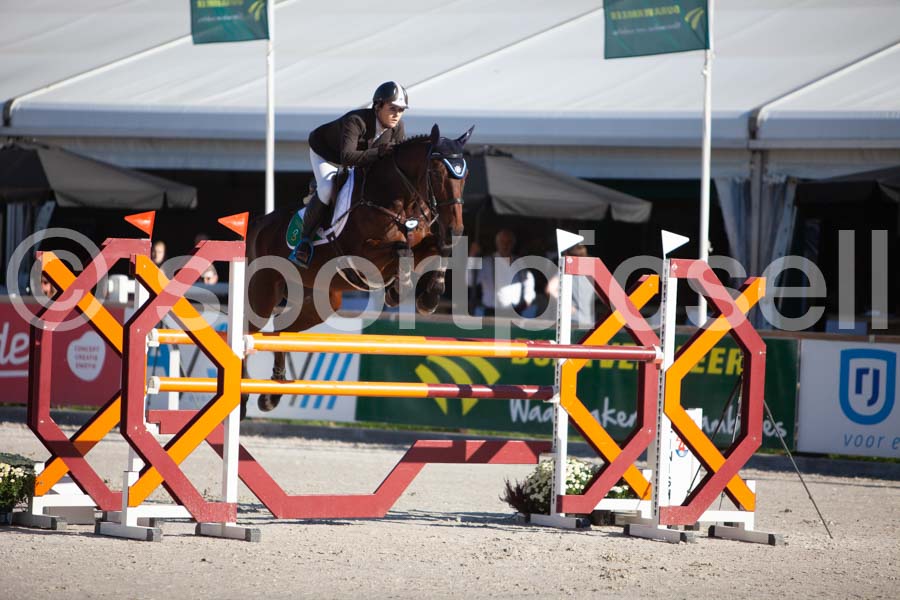 Prüfung showjumping-1 — IMG_2967