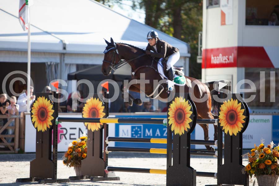 Prüfung showjumping-1 — IMG_2970
