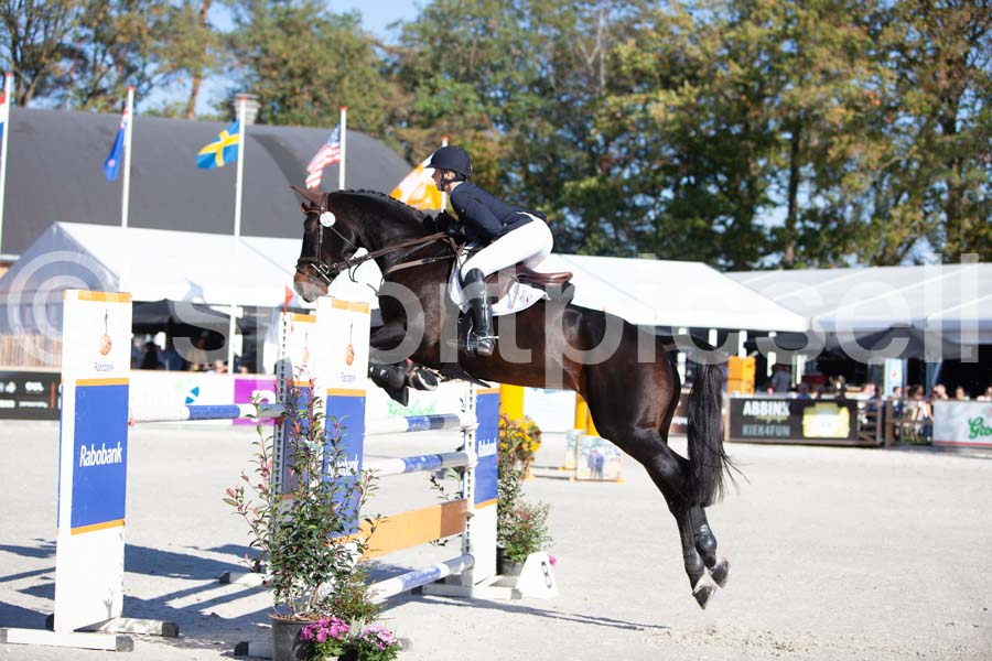 Prüfung showjumping-1 — IMG_3041