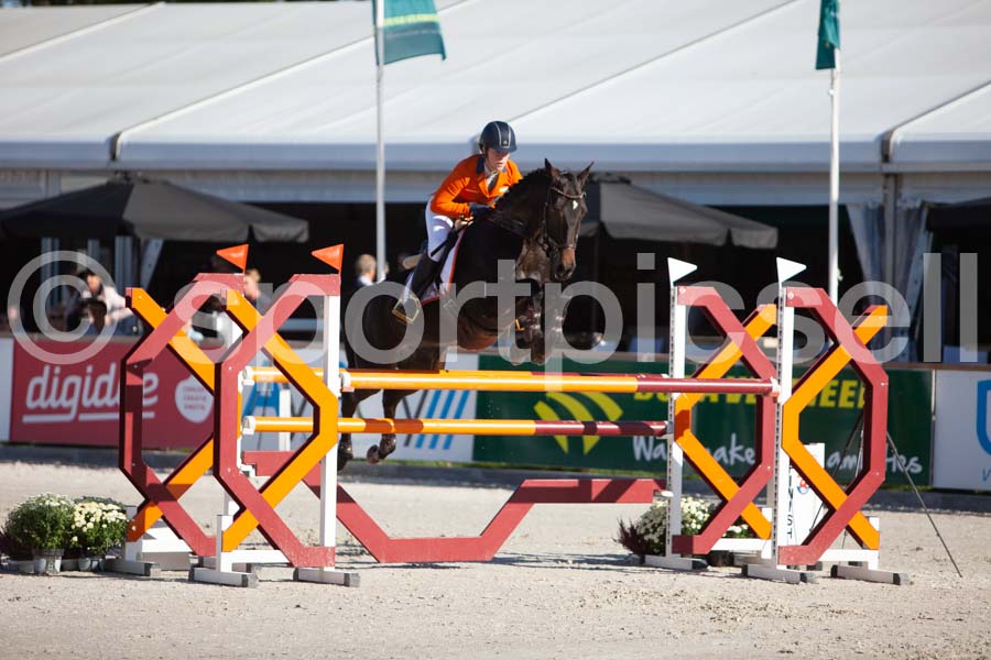 Prüfung showjumping-1 — IMG_3050