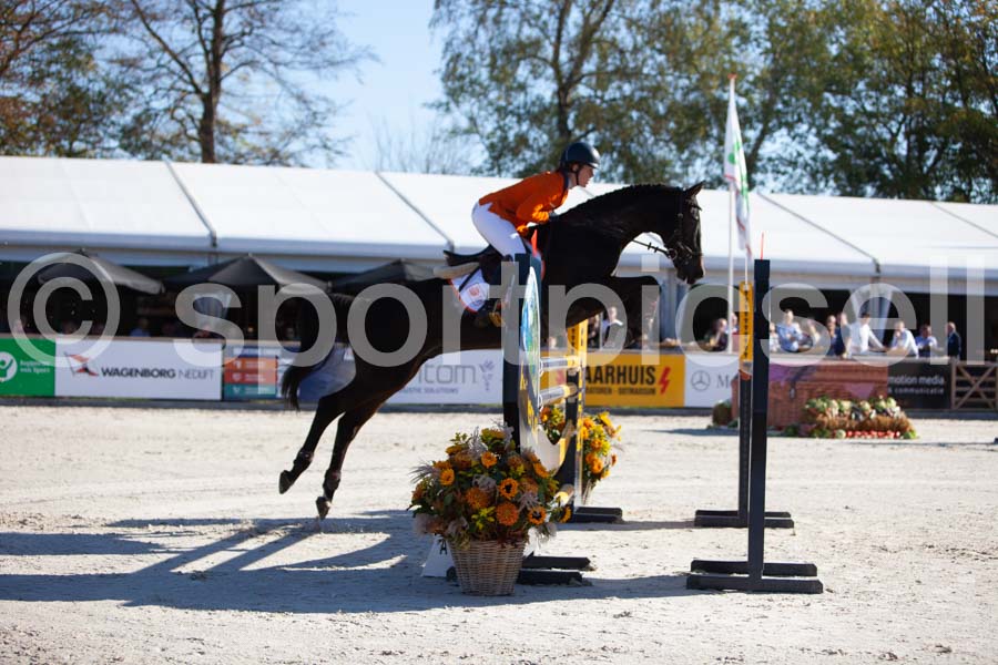 Prüfung showjumping-1 — IMG_3051