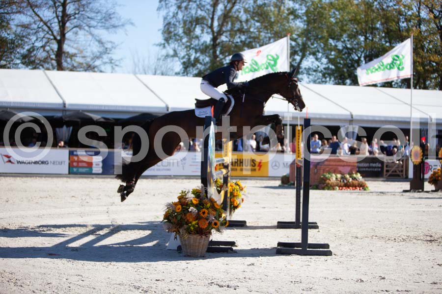 Prüfung showjumping-1 — IMG_3142