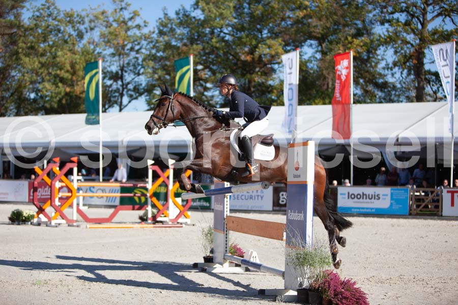 Prüfung showjumping-1 — IMG_3144