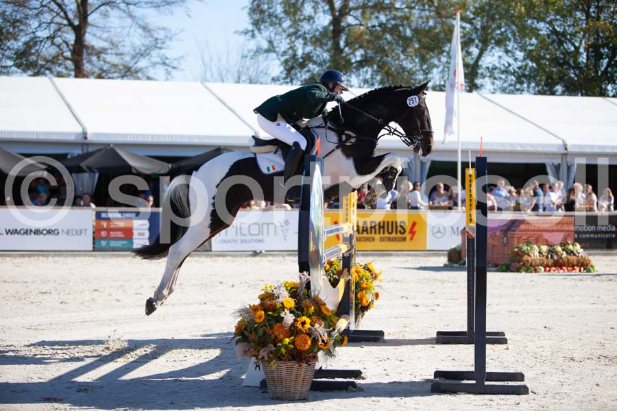 Prüfung showjumping-1 — IMG_3217