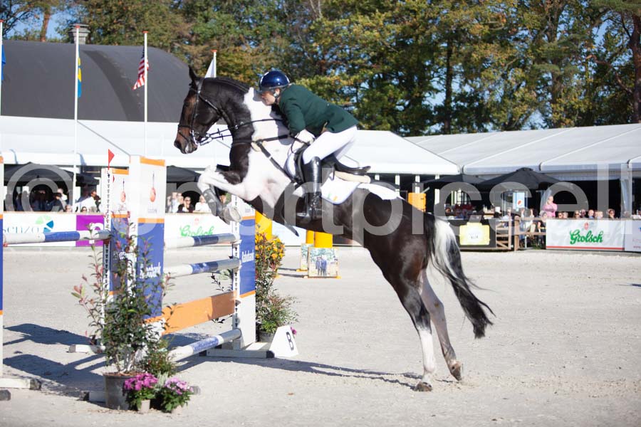 Prüfung showjumping-1 — IMG_3221