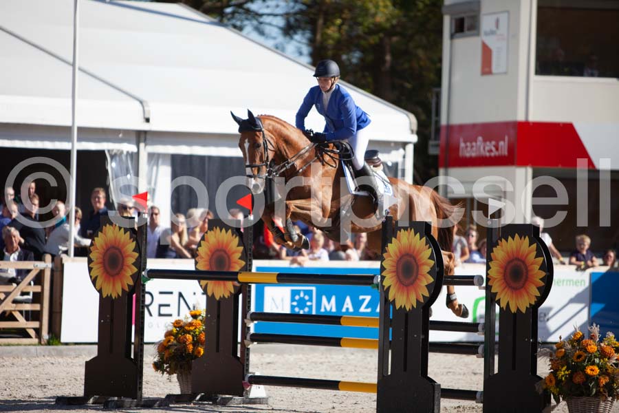 Prüfung showjumping-2 — IMG_3893