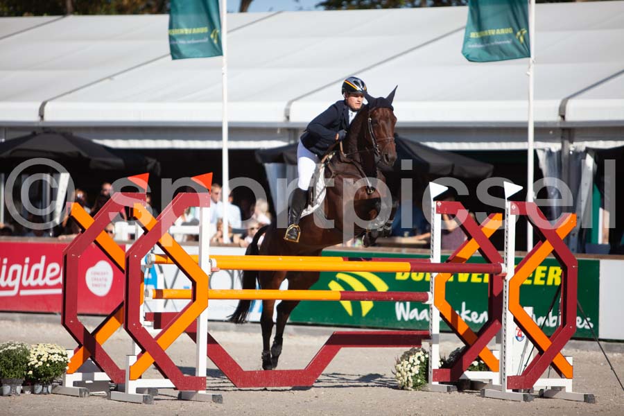 Prüfung showjumping-2 — IMG_3909