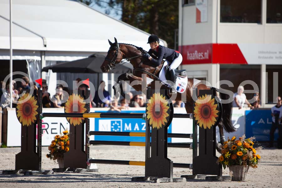 Prüfung showjumping-2 — IMG_3971