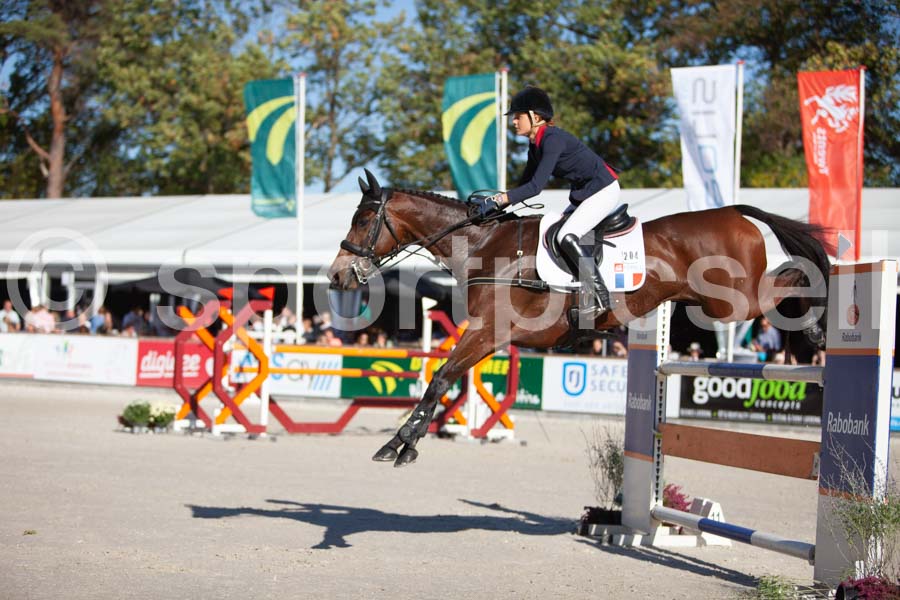 Prüfung showjumping-2 — IMG_3974