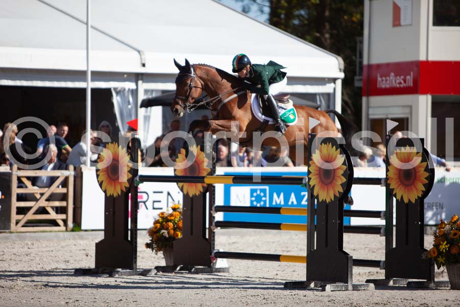 Prüfung showjumping-2 — IMG_4021
