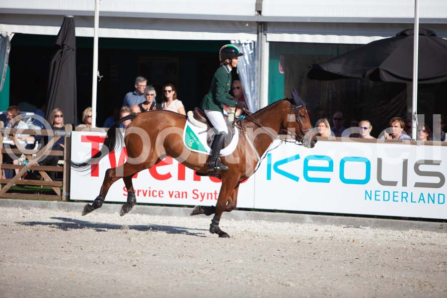 Prüfung showjumping-2 — IMG_4026