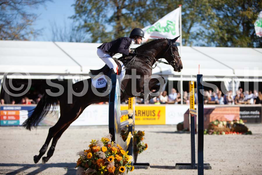 Prüfung showjumping-2 — IMG_4033
