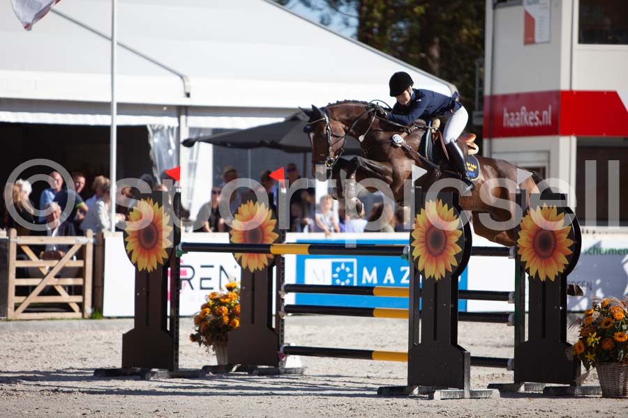 Prüfung showjumping-2 — IMG_4050