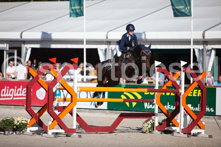 Prüfung showjumping-2 — IMG_4068