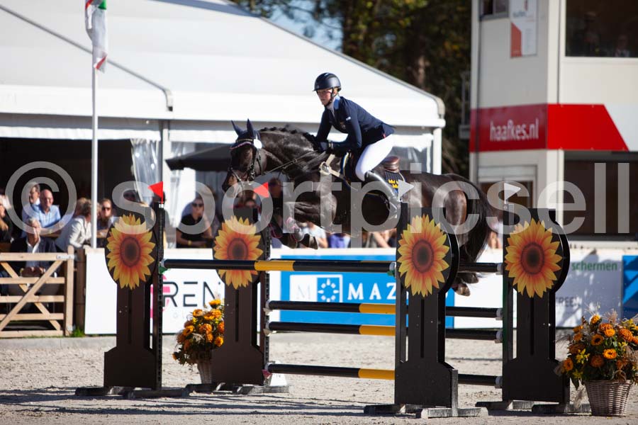 Prüfung showjumping-2 — IMG_4071