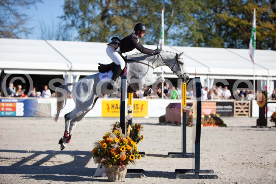 Prüfung showjumping-2 — IMG_4104