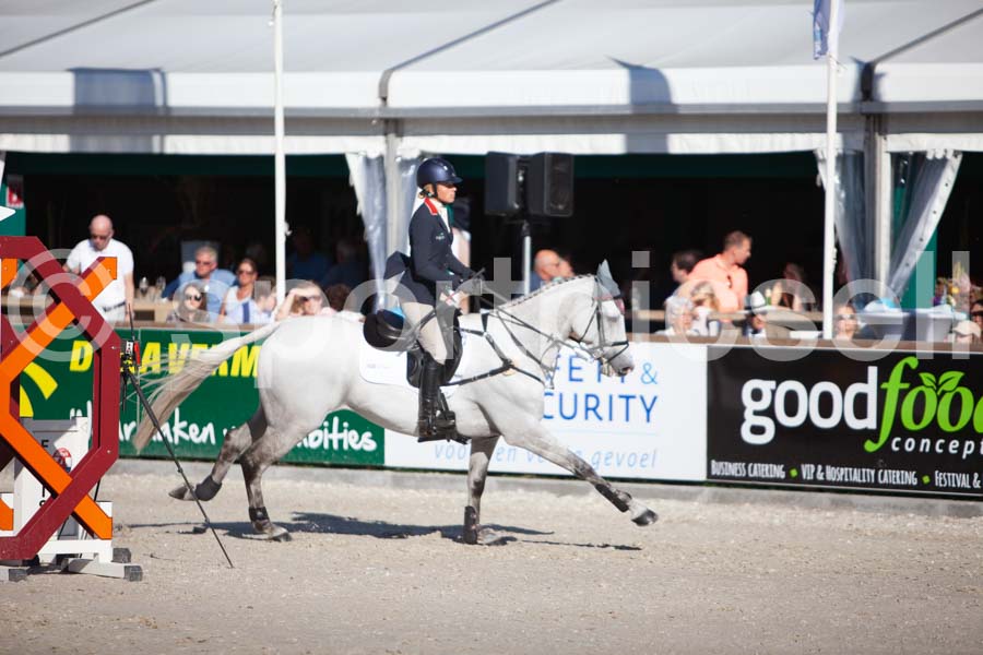Prüfung showjumping-2 — IMG_4129