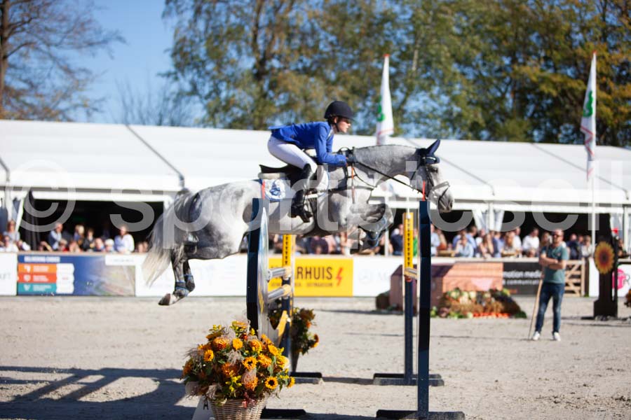 Prüfung showjumping-2 — IMG_4141