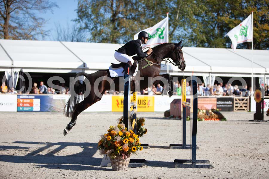 Prüfung showjumping-2 — IMG_4166