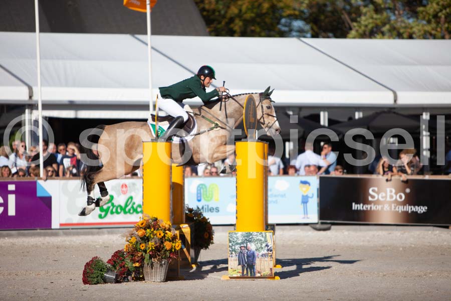 Prüfung showjumping-2 — IMG_4201