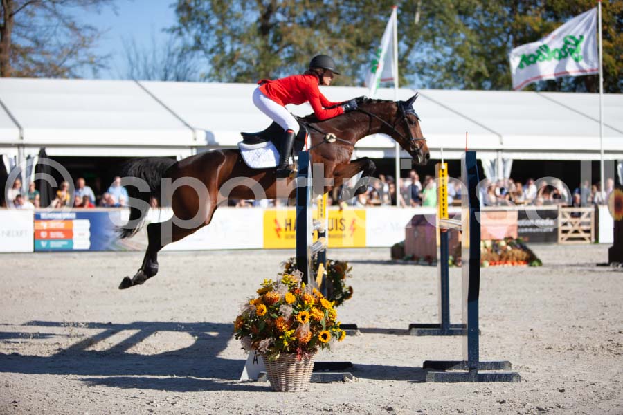 Prüfung showjumping-2 — IMG_4261
