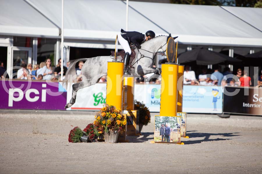 Prüfung showjumping-2 — IMG_4313
