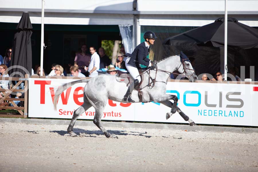 Prüfung showjumping-2 — IMG_4318