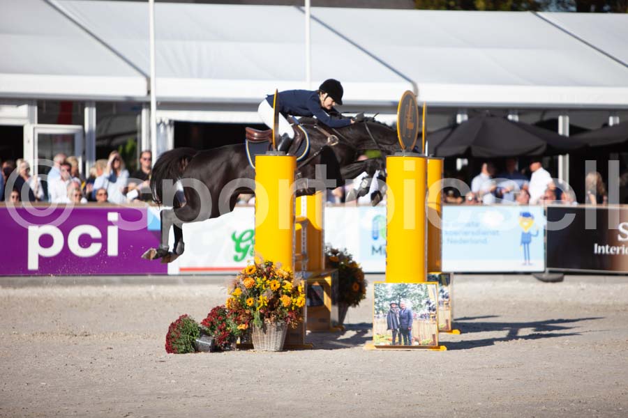 Prüfung showjumping-2 — IMG_4356