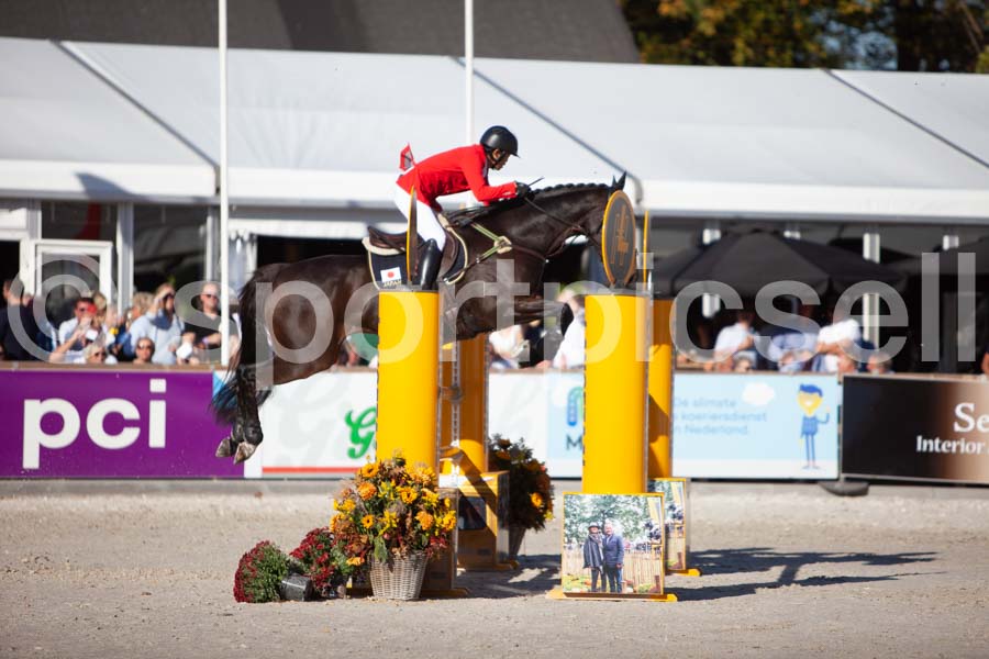 Prüfung showjumping-2 — IMG_4379