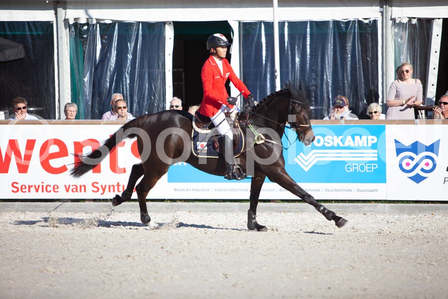 Prüfung showjumping-2 — IMG_4386