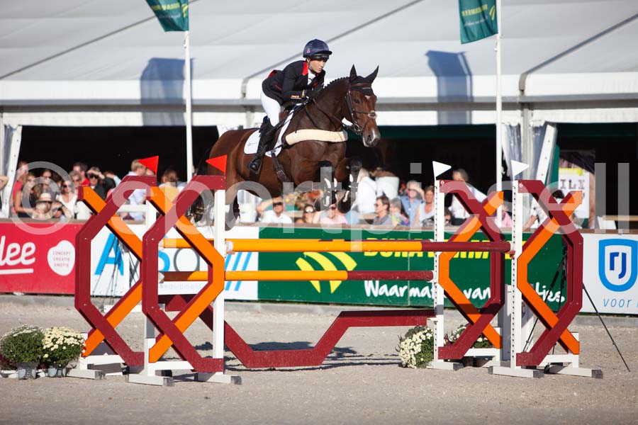 Prüfung showjumping-2 — IMG_4454
