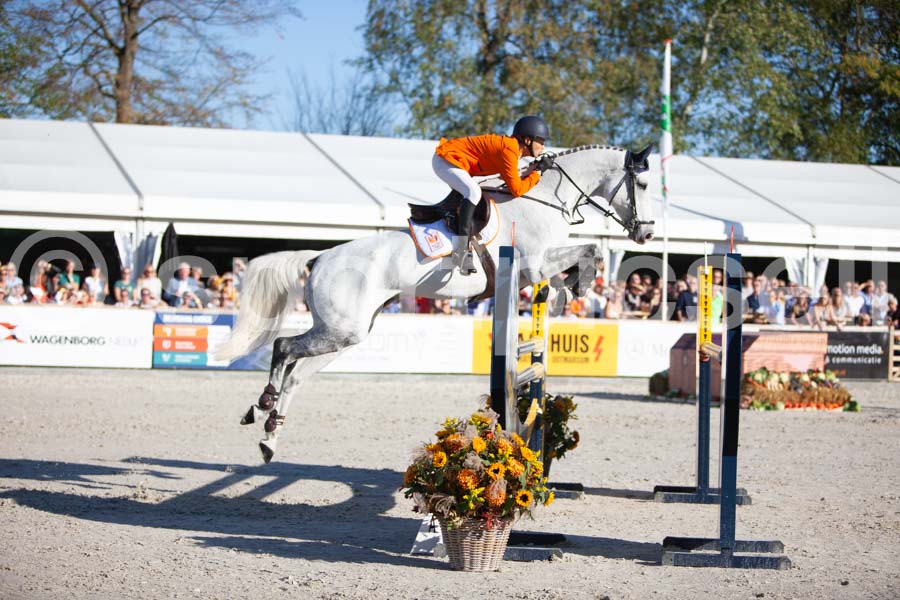 Prüfung showjumping-2 — IMG_4495
