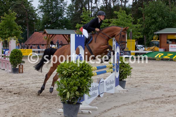Prüfung 16 — 16 Springpferdeprüfung Kl A** IMG_2023