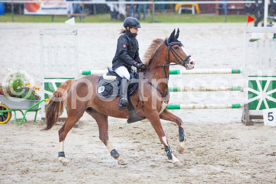 Prüfung 25 — IMG_2499