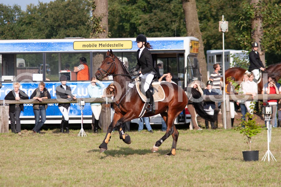 Prüfung 14-1 — IMG_1377
