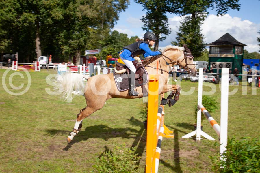 Prüfung 15 — IMG_5155