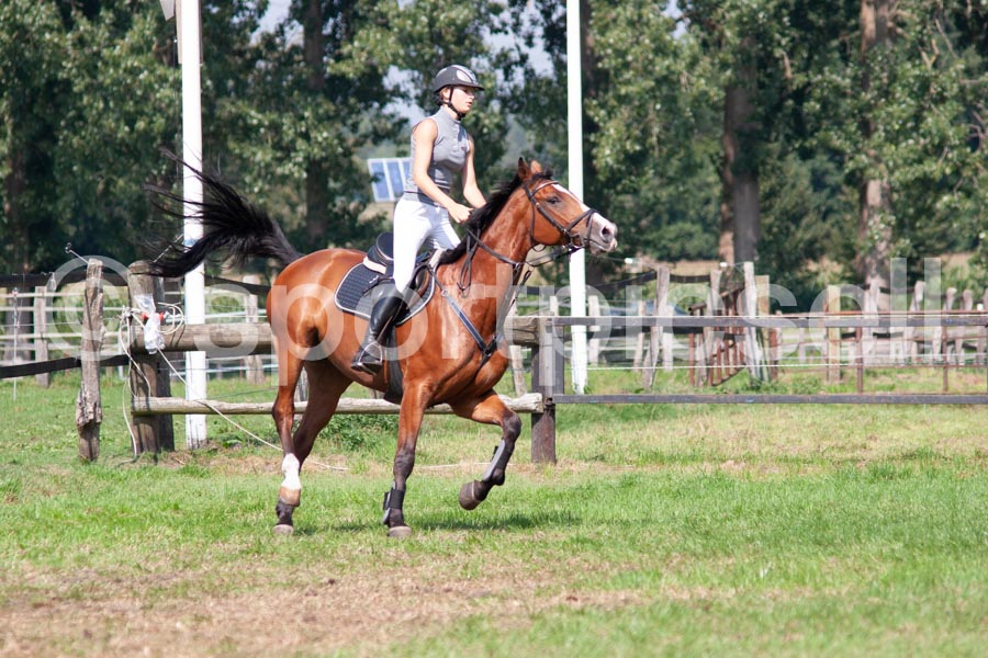 Prüfung 29 — IMG_6685