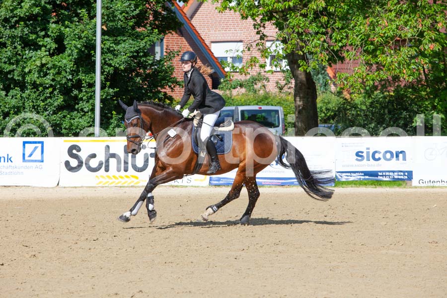 Prüfung 13 — IMG_8329